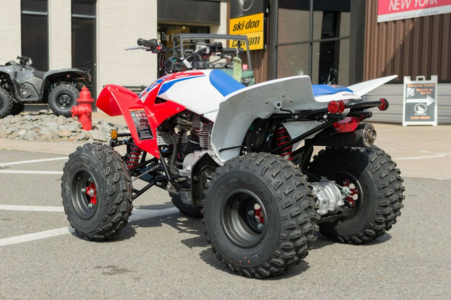 2026 Honda TRX 250X