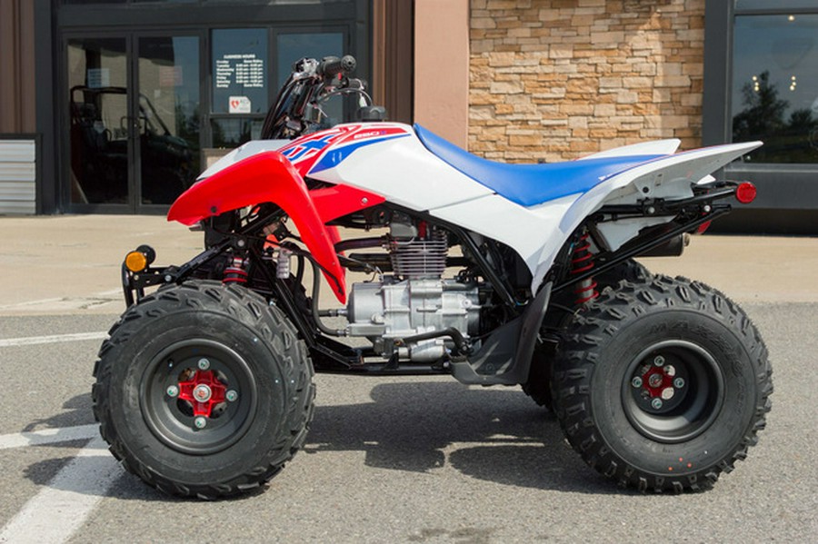 2026 Honda TRX 250X