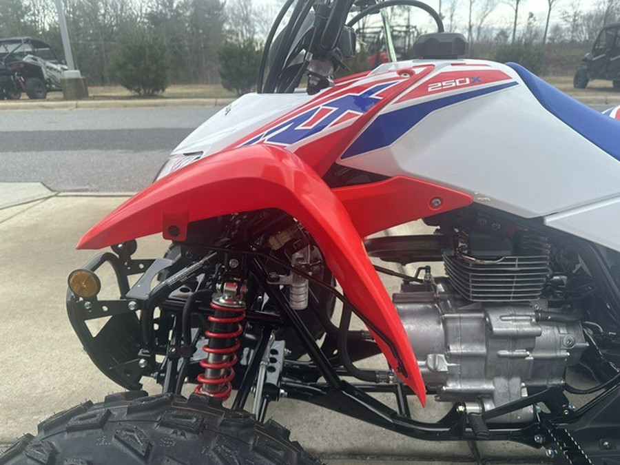 2026 Honda TRX 250X
