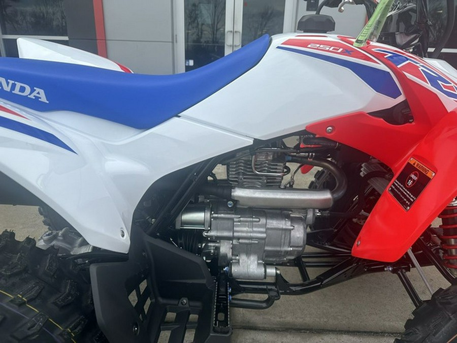2026 Honda TRX 250X