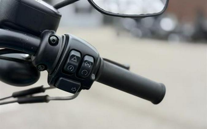 2019 Harley-Davidson Iron 1200™