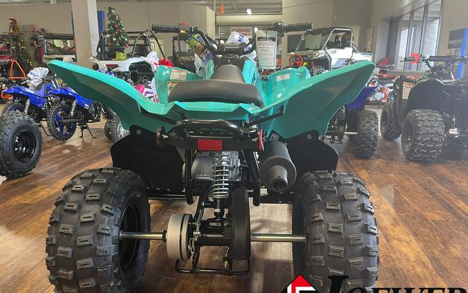 2024 Yamaha Raptor 110