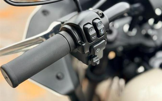2023 Harley-Davidson Low Rider® ST