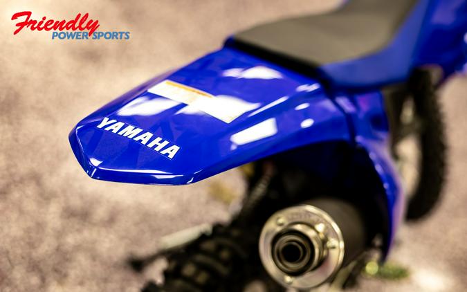 2026 YAMAHA TT-R230
