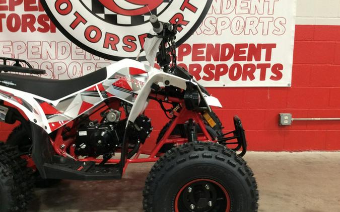 2025 Coolster 125-F2
