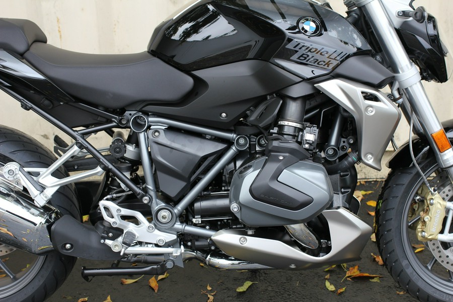 2024 BMW R 1250 R