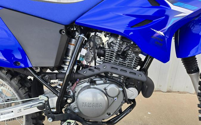 2026 YAMAHA TTR230