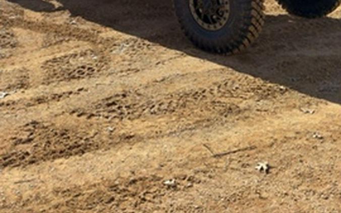 2026 Can-Am Maverick R MAX X Rc