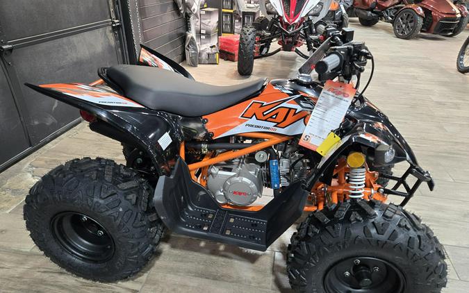 2026 KAYO PREDATOR 110