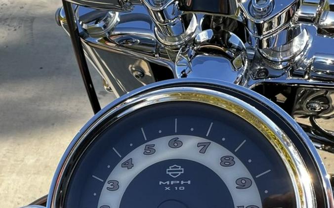 2016 Harley-Davidson® FLSTN - Softail® Deluxe