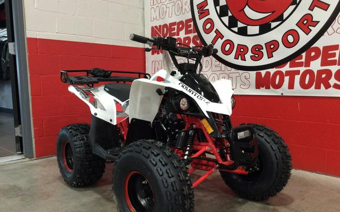 2025 Coolster 125-F2