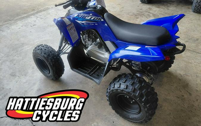 2026 Yamaha Raptor 110