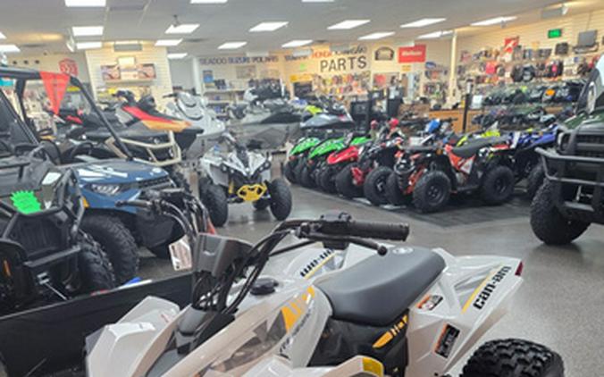 2026 Can-AM Renegade 110 EFI
