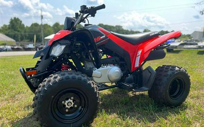 2021 Can-Am DS 250