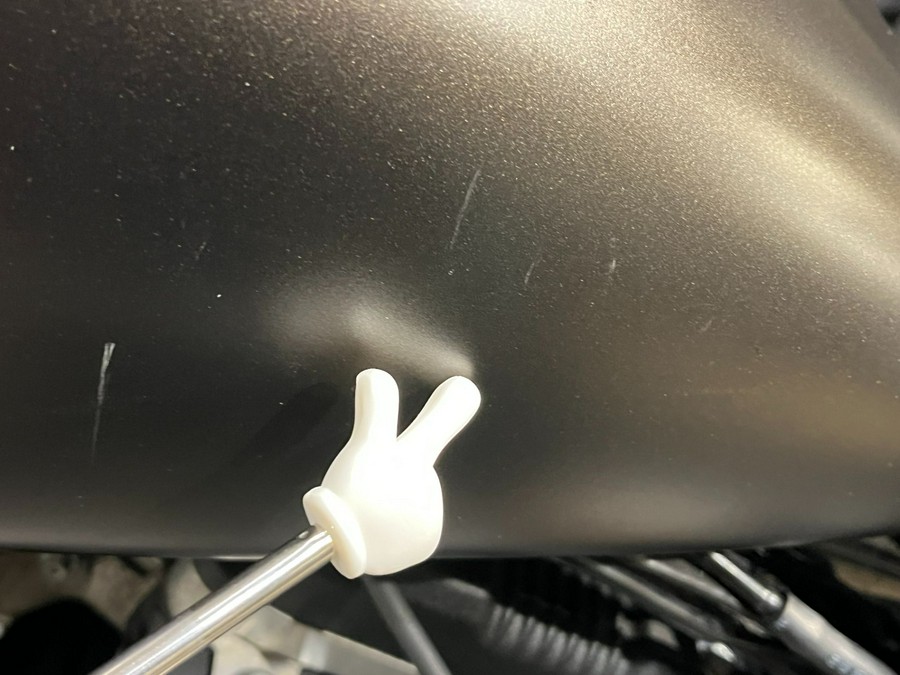 2021 Harley-Davidson Iron 883™