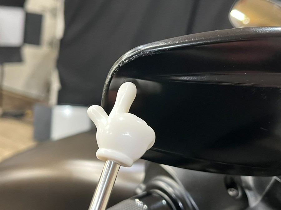 2021 Harley-Davidson Iron 883™