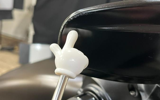 2021 Harley-Davidson Iron 883™