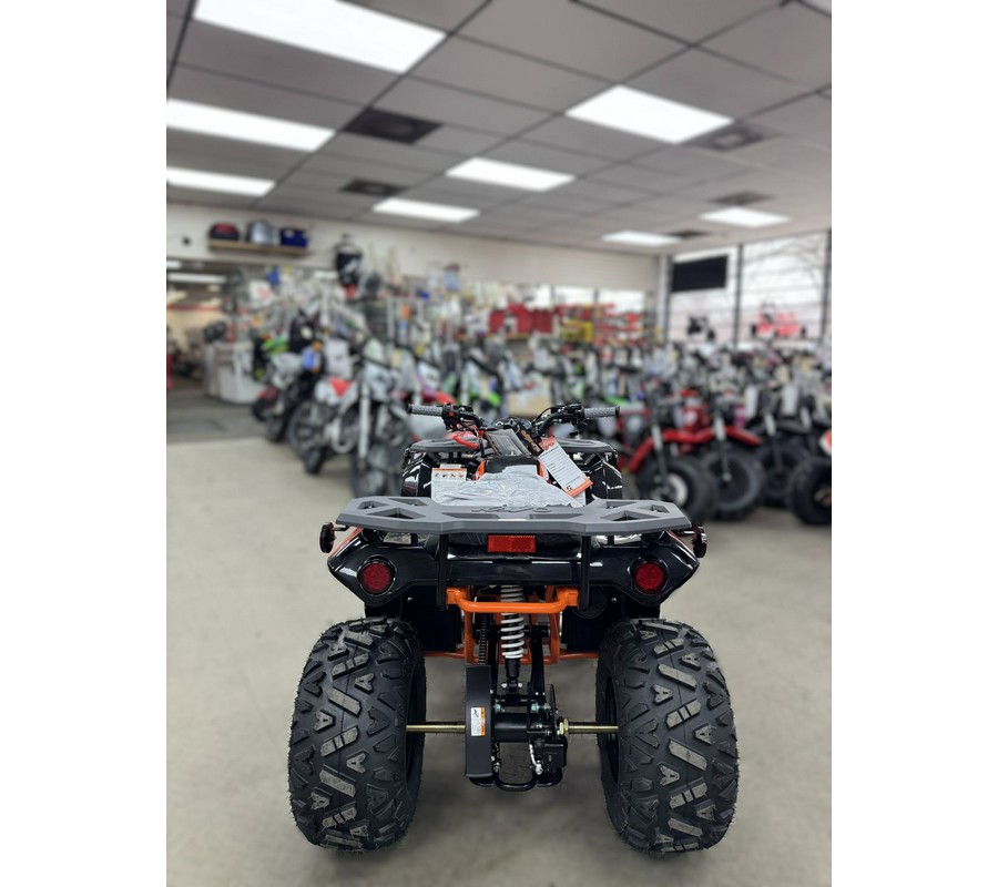 2026 Kayo Bull 110 AT110