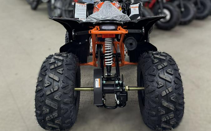 2026 Kayo Predator110 AU110