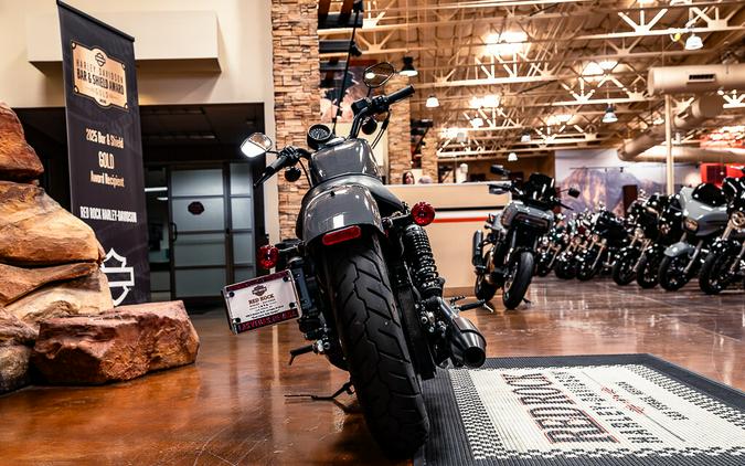 2022 Harley-Davidson Iron 883 Cruiser