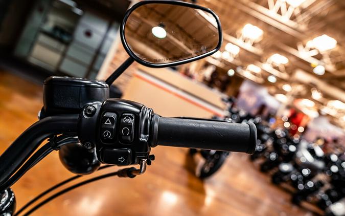 2022 Harley-Davidson Iron 883 Cruiser
