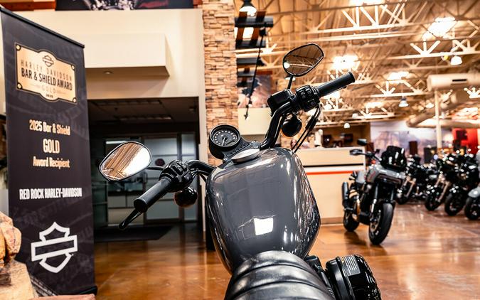 2022 Harley-Davidson Iron 883 Cruiser