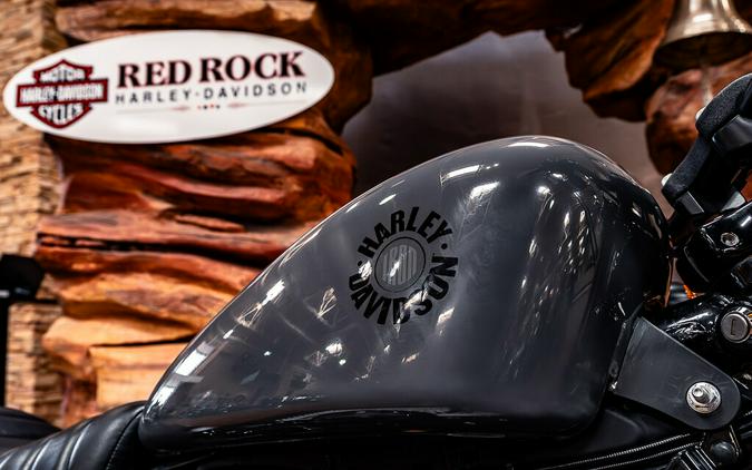 2022 Harley-Davidson Iron 883 Cruiser
