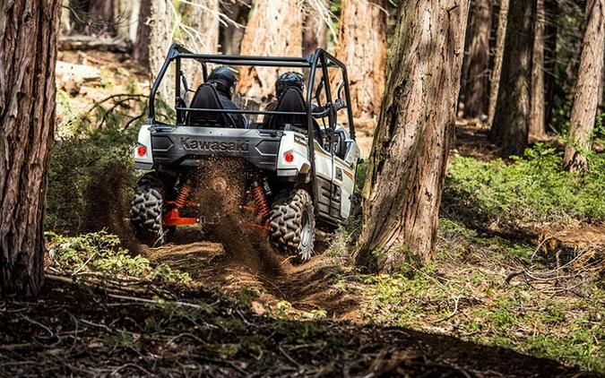 2018 Kawasaki Teryx