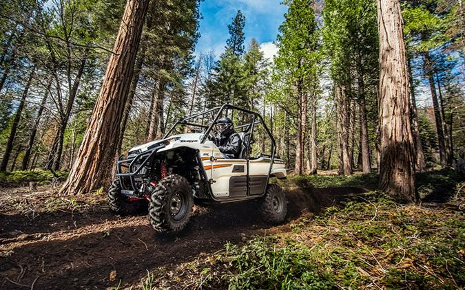 2018 Kawasaki Teryx