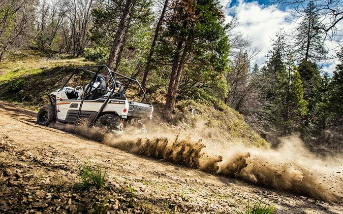 2018 Kawasaki Teryx