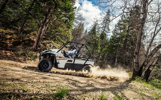 2018 Kawasaki Teryx