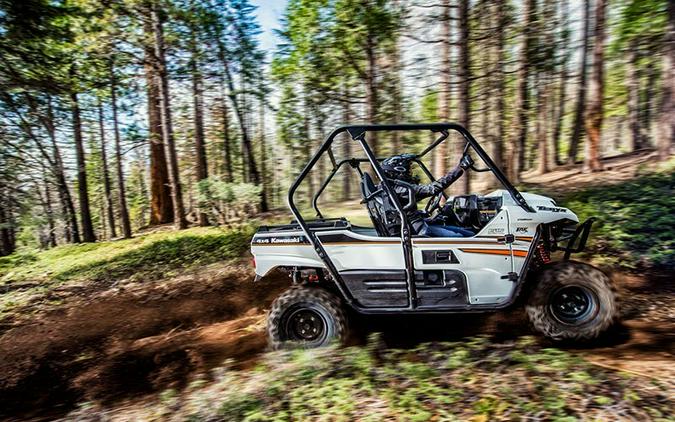 2018 Kawasaki Teryx