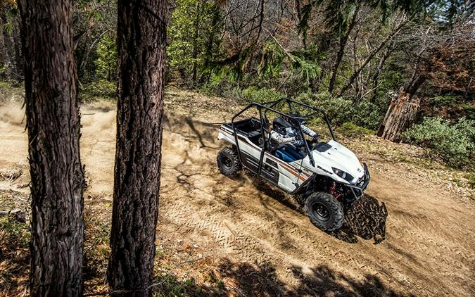 2018 Kawasaki Teryx