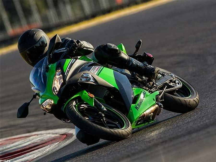 2013 Kawasaki Ninja® 300