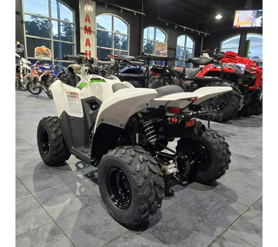 2026 Kawasaki KFX®50