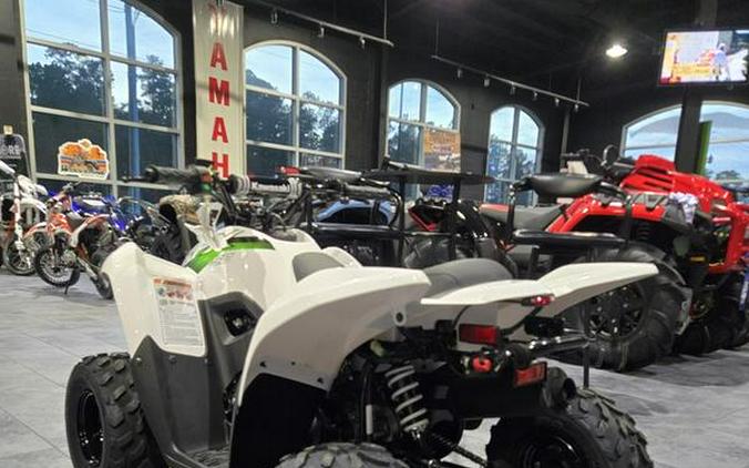 2026 Kawasaki KFX®50