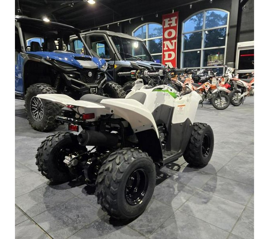 2026 Kawasaki KFX®50