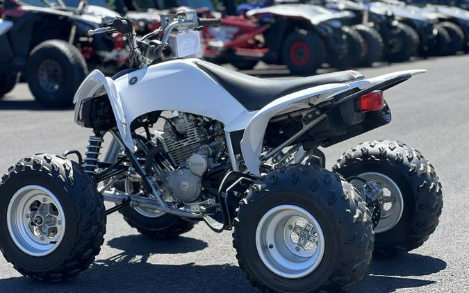 2013 Yamaha Raptor® 250