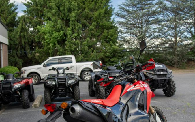 2019 Honda® CRF250L Rally