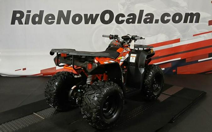 2026 Kayo Bull 125 EFI