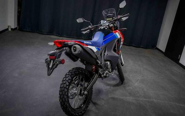2025 Honda® CRF300L Rally ABS