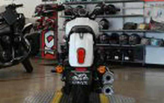 2022 Indian Scout