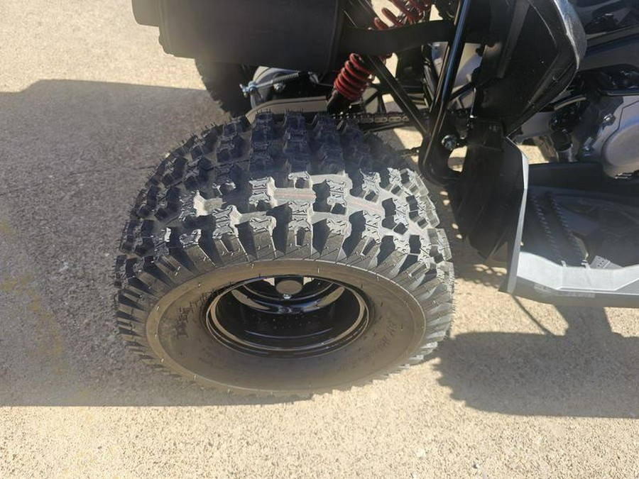 2026 Can-Am® Renegade 110 EFI