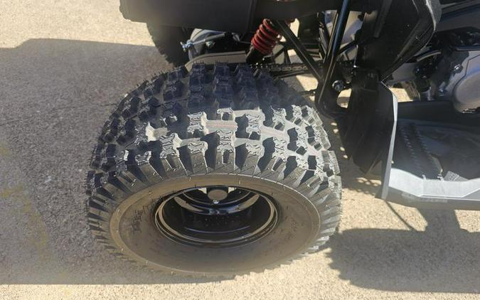 2026 Can-Am® Renegade 110 EFI