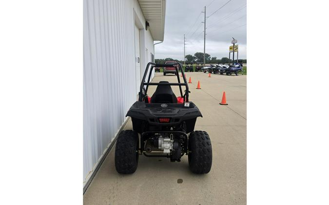 2017 Ace 150 - Polaris