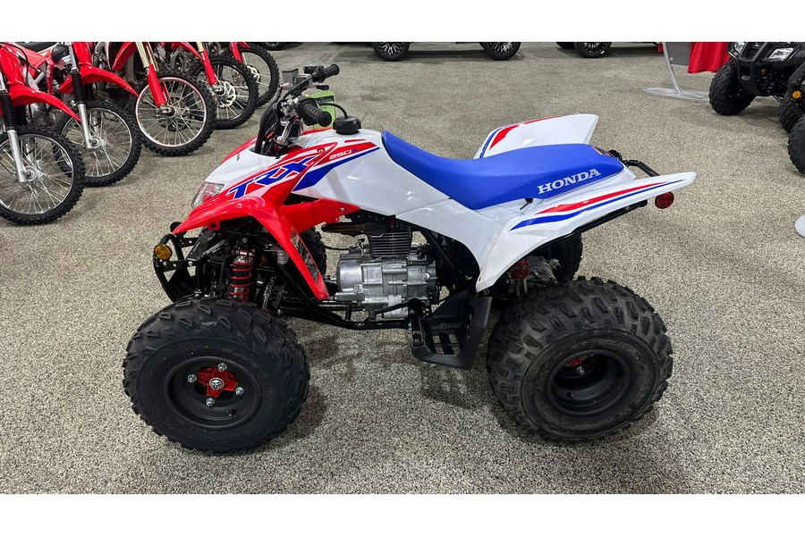 2026 Honda TRX® 250X
