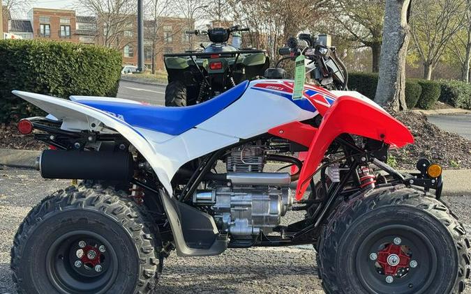 2026 Honda® TRX250X