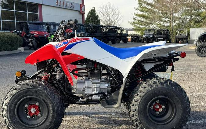 2026 Honda® TRX250X