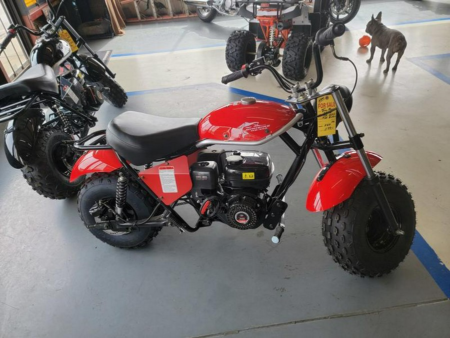 2020 TrailMaster Mini Bike