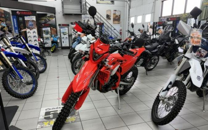 2026 Beta 390 RS